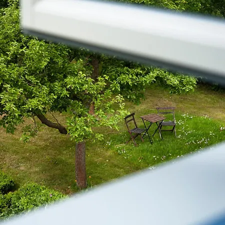 Kastanie - Klein Siemen