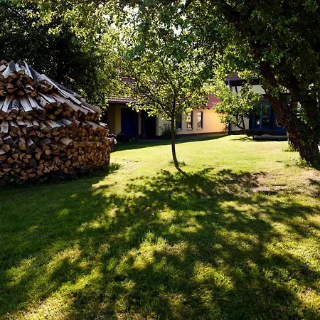 Kastanie - Klein Siemen * Kröpelin