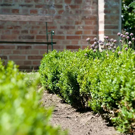 Kastanie - Klein Siemen Casa vacanze *