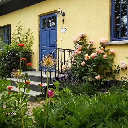 Kastanie - Klein Siemen * Kröpelin